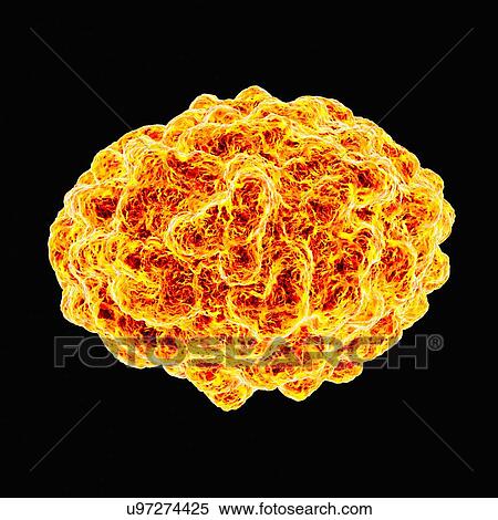 Stock Illustration - Smallpox virus, artwork. Fotosearch