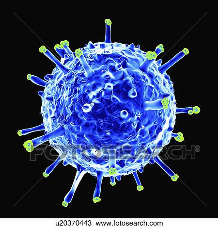 Drawing - Swine influenza virus, artwork. Fotosearch