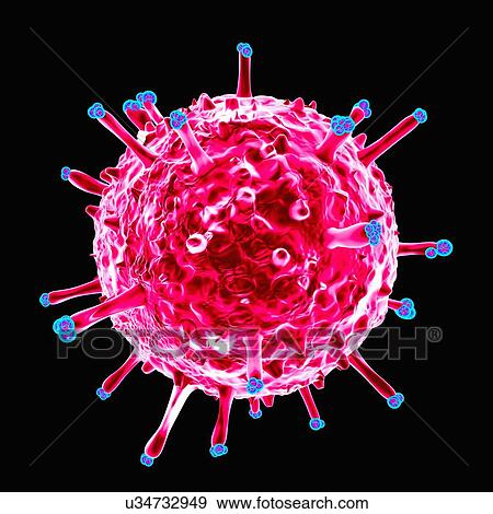 Swine influenza virus, artwork View Large Illustration Stock Illustration - Swine influenza virus, artwork. Fotosearch