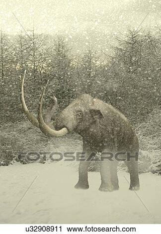 Woolly mammoth in snow View Large Illustration Clip Art - Woolly mammoth in snow. Fotosearch