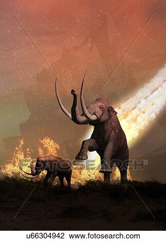 Drawing - Woolly mammoths and meteor. Fotosearch