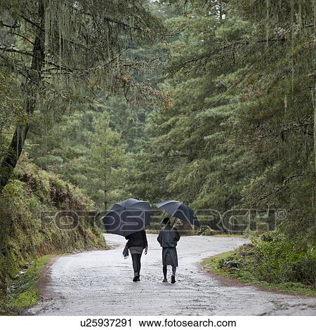 Couple walking under umbrellas in Bhutan, Phobjikha Valley View Large Photo Image Stock Image - Couple walking under umbrellas in Bhutan, Phobjikha Valley . Fotosearch