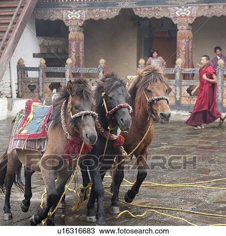 Deities Horses, Trongsa District, Trongsa Dzong View Large Photo Image Stock Image - Deities Horses, Trongsa District, Trongsa Dzong. Fotosearch
