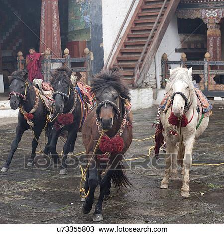 Deities Horses, Trongsa District, Trongsa Dzong View Large Photo Image Stock Image - Deities Horses, Trongsa District, Trongsa Dzong. Fotosearch