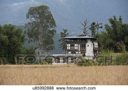 Stock Photo - Farmhouse in a field, Punakha District, Bhutan. Fotosearch