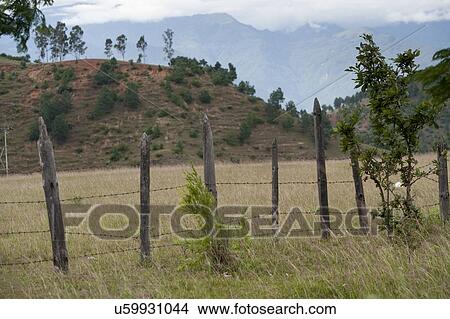 Picture - Fence in a field, Punakha District, Bhutan. Fotosearch
