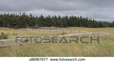 Stock Photo - Fence in grassy field, Cow Head, Gros Morne National Park, Newfoundland and Labrador, Canada. Fotosearch