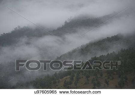 Stock Photography - Fog over mountains, Punakha Valley, Punakha District, Bhutan. Fotosearch