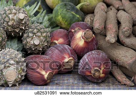 Fruits and vegetable at a market stall, Khuruthang, Punakha District, Bhutan View Large Photo Image Stock Image - Fruits and vegetable at a market stall, Khuruthang, Punakha District, Bhutan. Fotosearch