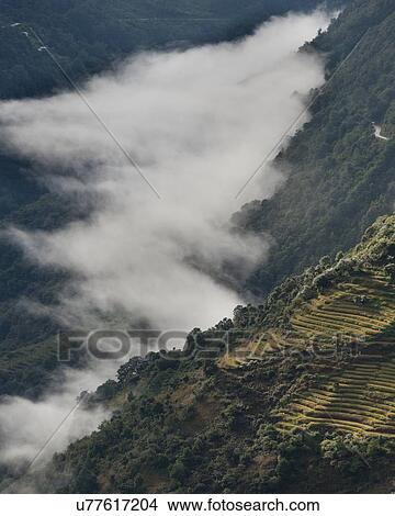 High angle view of a foggy valley, Trongsa District, Bhutan View Large Photo Image Picture - High angle view of a foggy valley, Trongsa District, Bhutan. Fotosearch