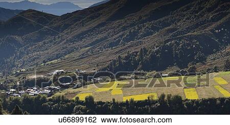 Stock Image - High angle view of agricultural fields with Rukubji village in the background, Trongsa District, Bhutan. Fotosearch