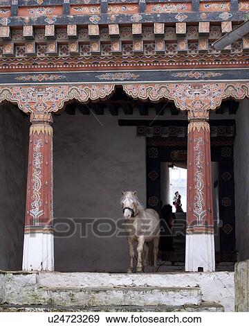 Stock Photo - Horse at Trongsa Dzong, Trongsa, Bhutan. Fotosearch