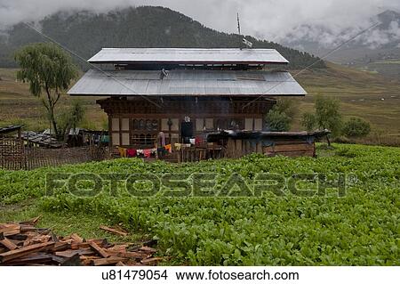 Picture - House in a field, Phobjikha Valley, Bhutan. Fotosearch