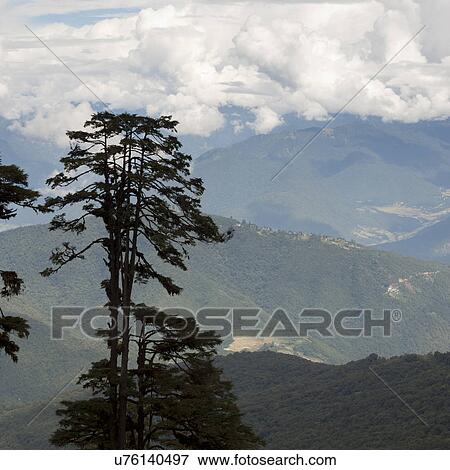Stock Photo - Landscape view Bhutan, Thimphu, Timphu district, Dochula Pass. Fotosearch