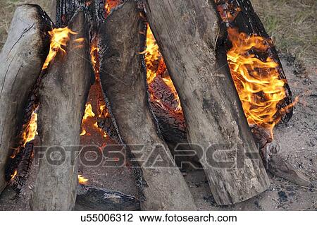 Log fire, Punakha Valley, Punakha District, Bhutan View Large Photo Image Stock Image - Log fire, Punakha Valley, Punakha District, Bhutan. Fotosearch