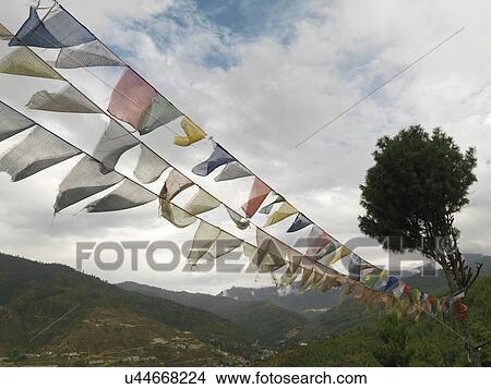 Picture - Low angle view of prayer flags, Kuensel Phodrang, Thimphu District, Bhutan. Fotosearch