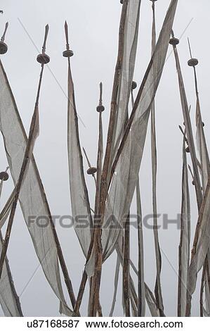 Stock Photo - Low angle view of prayer flags, Talo Goemba, Punakha Valley, Punakha District, Bhutan. Fotosearch