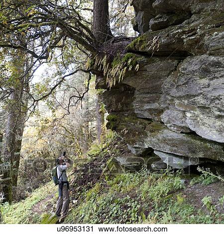 Stock Image - Man taking a picture in a forest, Bhutan. Fotosearch