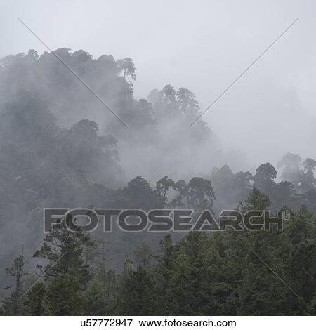 Stock Photo - Mist over landscape in Bhutan. Fotosearch