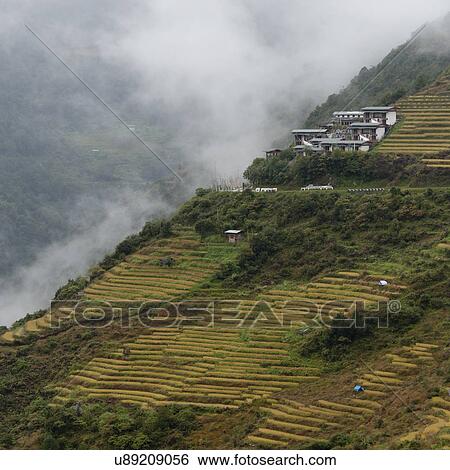 Stock Photograph - Mist over landscape in Bhutan, Trongsa District. Fotosearch