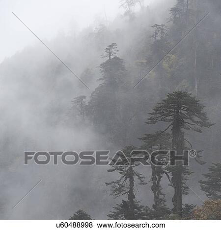 Stock Photo - Mist overTrongsa District, Bhutan. Fotosearch