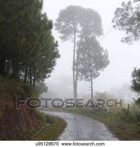 Misty landscape in Bhutan, Punakha Valley View Large Photo Image Stock Image - Misty landscape in Bhutan, Punakha Valley. Fotosearch