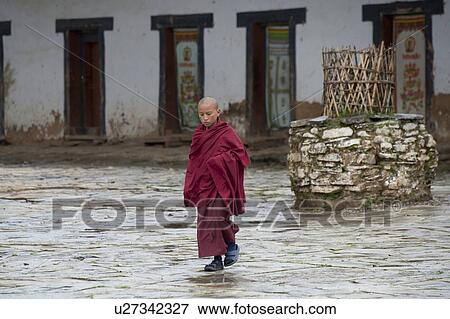 Monk walking at Gangte Goemba, Phobjikha Valley, Bhutan View Large Photo Image Stock Photo - Monk walking at Gangte Goemba, Phobjikha Valley, Bhutan. Fotosearch
