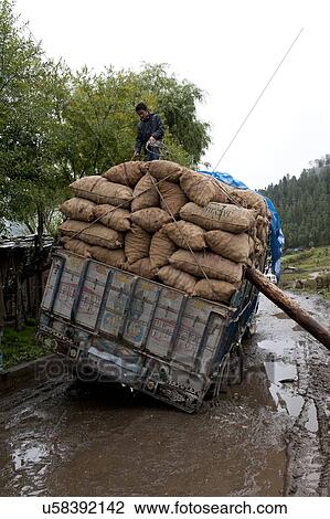 Overloaded truck stuck on wet dirt road, Phobjikha Valley, Bhutan View Large Photo Image Stock Image - Overloaded truck stuck on wet dirt road, Phobjikha Valley, Bhutan. Fotosearch
