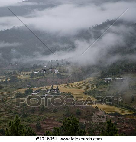 Stock Image - Overview of rice terraces in Punakha District, Bunakha Valley, Bhutan. Fotosearch
