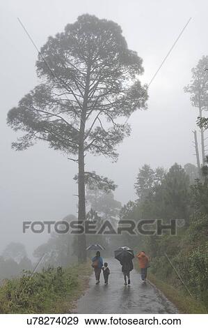 Stock Photo - People walking on the mountain road in rain, Punakha Valley, Punakha District, Bhutan. Fotosearch