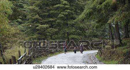 Picture - People walking on the road, Phobjikha Valley, Bhutan. Fotosearch