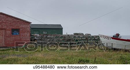 Pile of Lobster traps along shoreline, Sally's Cove, Gros Morne National Park, Newfoundland and Labrador, Canada View Large Photo Image Stock Image - Pile of Lobster traps along shoreline, Sally's Cove, Gros Morne National Park, Newfoundland and Labrador, Canada. Fotosearch