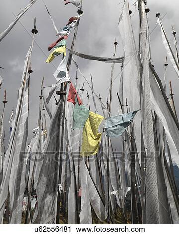 Prayer flags, Chelela Pass, Paro Valley, Paro District, Bhutan View Large Photo Image Stock Image - Prayer flags, Chelela Pass, Paro Valley, Paro District, Bhutan. Fotosearch