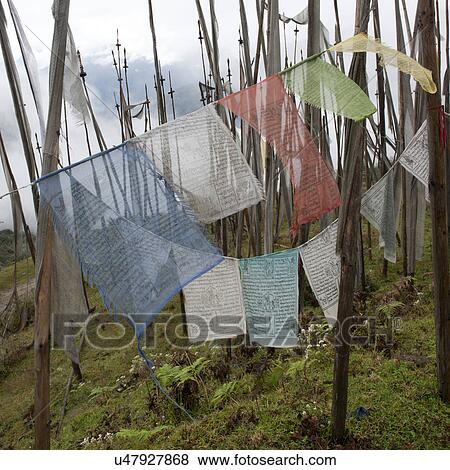 Stock Photo - Prayer flags in Trongsa District. Fotosearch