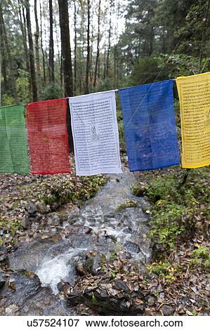 Stock Photo - Prayer flags with a stream at Taktsang Monastery, Paro Valley, Paro District, Bhutan. Fotosearch