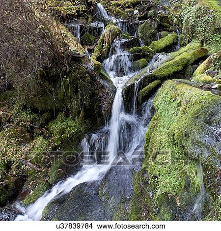Stream flowing through a mountain, Bhutan View Large Photo Image Picture - Stream flowing through a mountain, Bhutan. Fotosearch