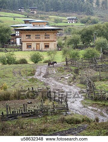 Stock Photo - Traditional houses in a village, Phobjikha Valley, Bhutan. Fotosearch