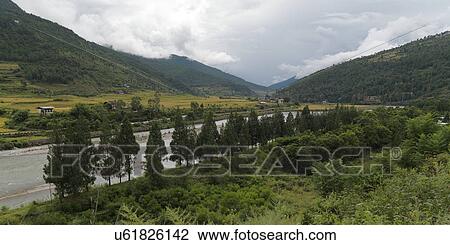 Stock Image - Trees along the river, Punakha District, Bhutan. Fotosearch