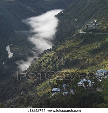 Picture - Trees on mountains, Trongsa District, Bhutan. Fotosearch