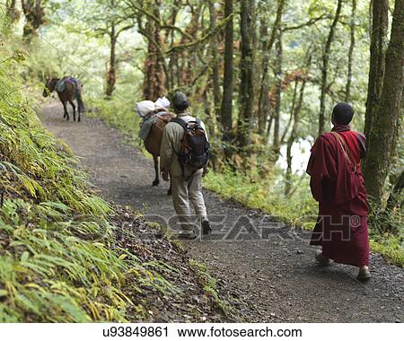 Stock Image - Two men walking on a dirt road in a forest, Tango Goemba, Thimphu, Bhutan. Fotosearch