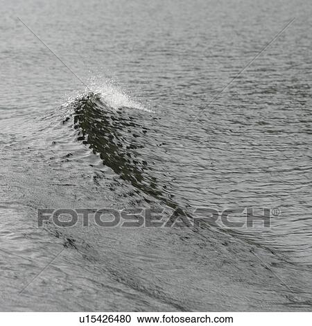 Stock Image - Wave in fjord, Division No. 5, Subd. G, Western Brook Pond, Gros Morne National Park, Newfoundland and Labrador, Canada. Fotosearch