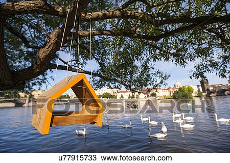 Stock Image - Birdhouse hanging from tree over river. Fotosearch