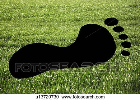 Close-up of footprint on grassy landscape View Large Photo Image Stock Image - Close-up of footprint on grassy landscape. Fotosearch