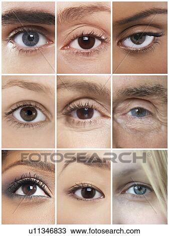 Collage of human eyes View Large Photo Image Stock Image - Collage of human eyes. Fotosearch