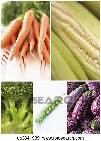 Collage of various vegetables View Large Photo Image Stock Photo - Collage of various vegetables. Fotosearch