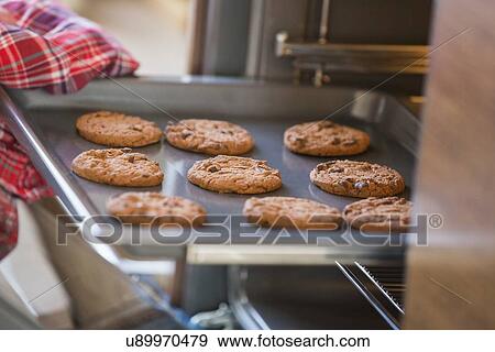 Stock Photo - Cropped image of hand removing cookie tray from oven in kitchen. Fotosearch