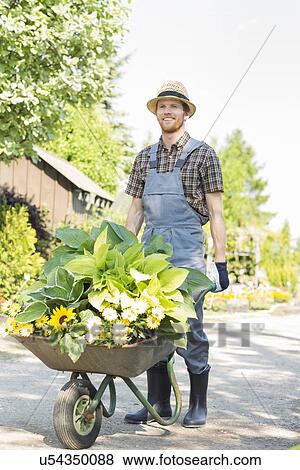 Full-length of gardener pushing wheelbarrow with plants at garden View Large Photo Image Stock Photo - Full-length of gardener pushing wheelbarrow with plants at garden. Fotosearch