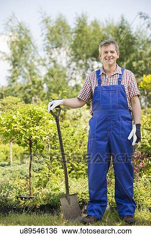 Full-length portrait of confident gardener holding spade in plant nursery View Large Photo Image Stock Photograph - Full-length portrait of confident gardener holding spade in plant nursery. Fotosearch