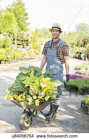 Picture - Full-length portrait of happy gardener pushing wheelbarrow with plants at garden. Fotosearch