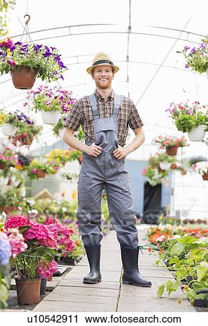 Full-length portrait of happy gardener standing at greenhouse View Large Photo Image Stock Image - Full-length portrait of happy gardener standing at greenhouse. Fotosearch